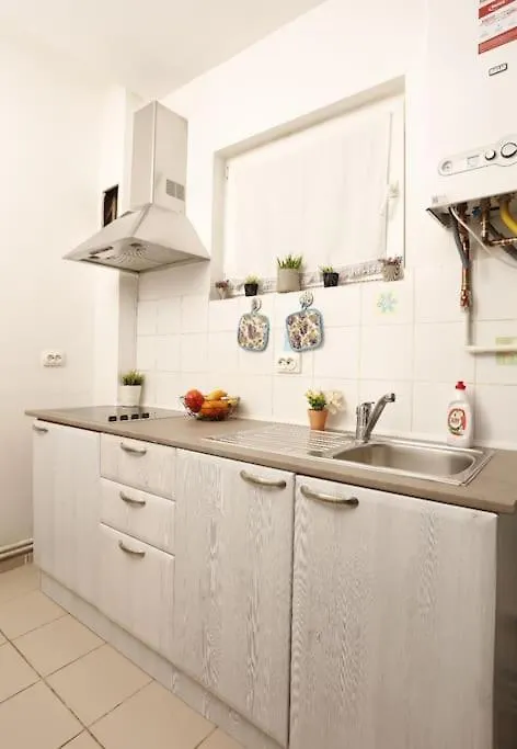 1 Bdrm Apartment In City Center Bucharest